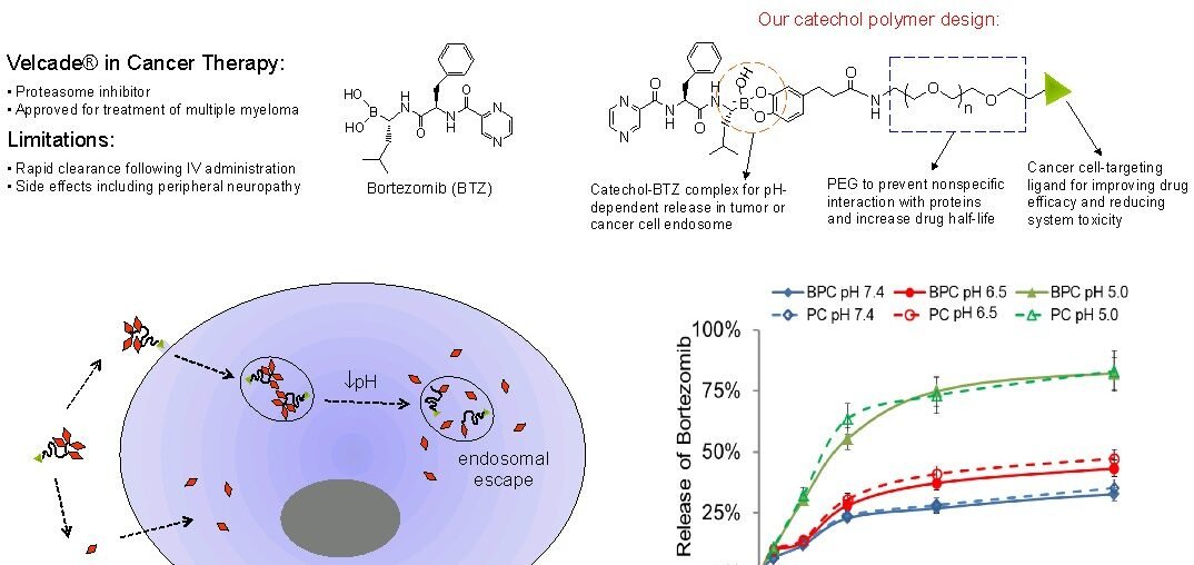 Drug delivery refers to approaches, formulations, manufacturing techniques, storage systems, and technologies involved in transporting a pharmaceutical compound to its target site to achieve a desired therapeutic effect.