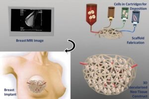 fabrication and characteristics of electrospinning/3D printing bones