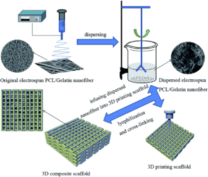 fabrications and characterizations of electrospinning / 3D printing bones