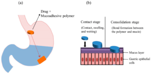 Drug delivery refers to approaches, formulations, manufacturing techniques, storage systems, and technologies involved in transporting a pharmaceutical compound to its target site to achieve a desired therapeutic effe