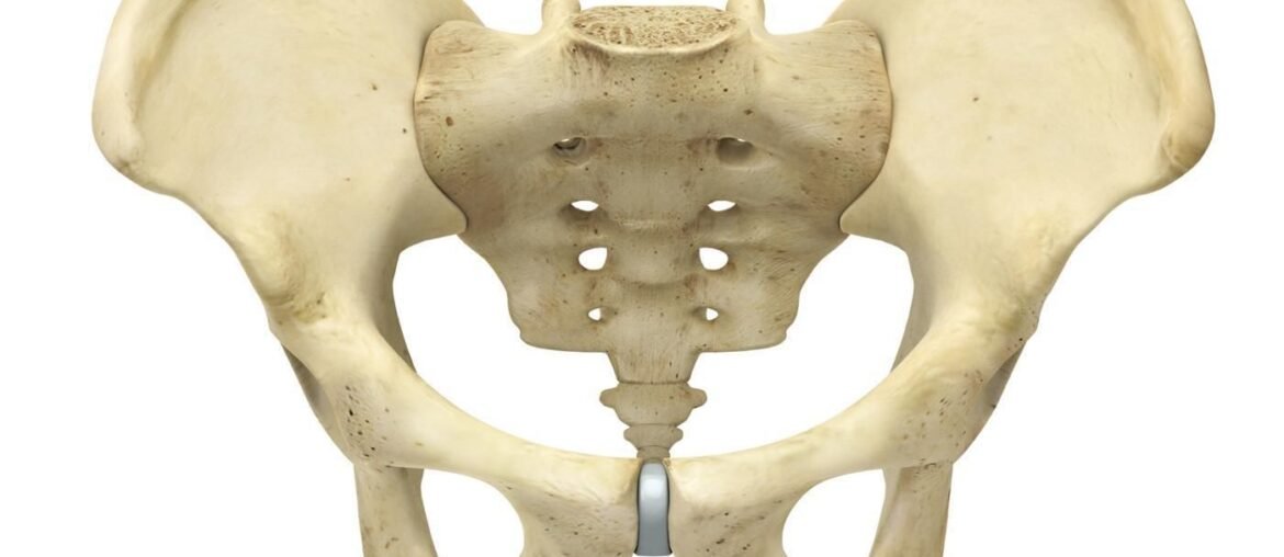 India Biodegradable Bone