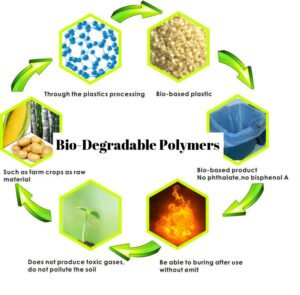 North America Biodegradable Bone