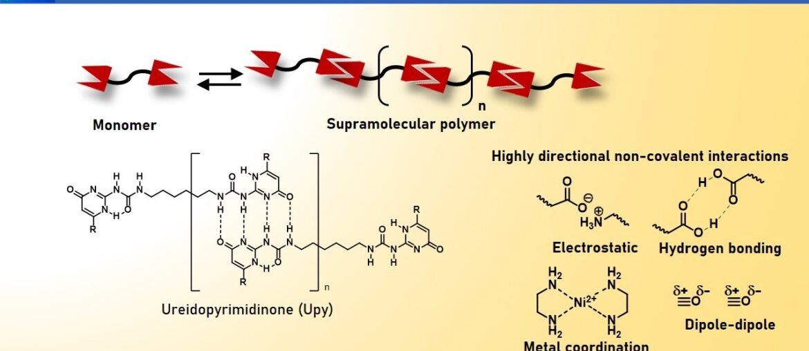 The nonlinear response of smart polymers is what makes them so unique and effective. A significant change in structure and properties can be induced by a very small stimulus. Once that change occurs, there is no further change, meaning a predictable all-or-nothing response occurs, with complete uniformity throughout the polymer