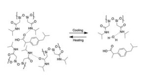 Smart Polymers