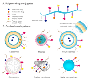 Drug Conjugates