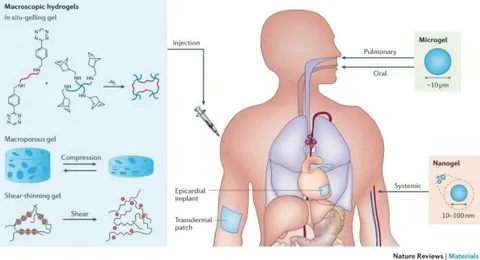 Implantable Networks